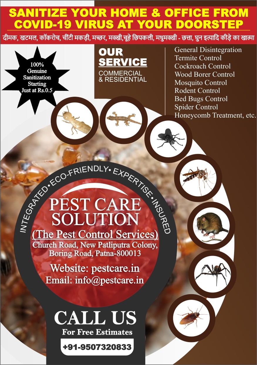 Pest Care Solution | Pest Control Services | Pest Control Service in ...